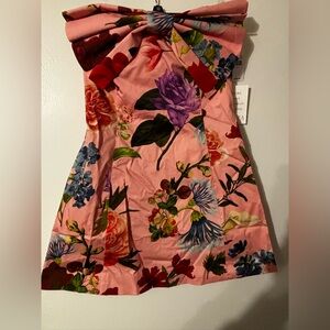 Floral Pink Mestiza Dress size 6